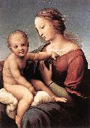 Madonna and Child Raffaello